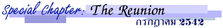Special Chapter: The Reunion