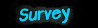 Survey