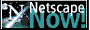 Download NETSCAPE now!