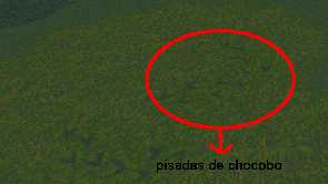 pisadas de chocobo