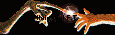 Why look at streaking stars or flying toasters when YOU could find the first signal from an alien civilization?