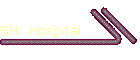 SH: Hospital
