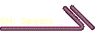 SH: Sewers