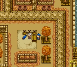 Town Merchant