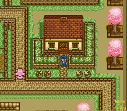Flower Shop