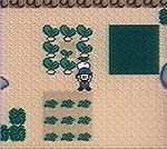 Holding Crop