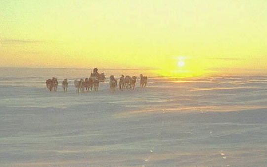 Midnat p Indlandsisen 300 km nord for Thule