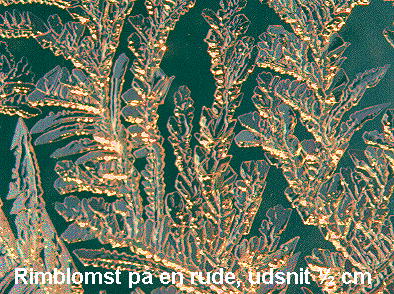 se det i stor strrelse