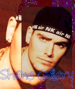 Shane Gallery