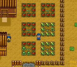 Crops