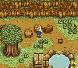 Cutting Wood