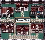 Town