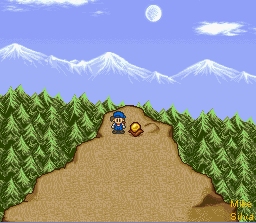 Top of the mountain with rare Moon Drop Flower