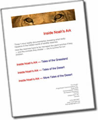 Noah Booklet