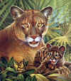 FLpanther.JPG (72436 bytes)