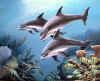 dolphins.jpg (55361 bytes)
