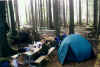 Camping.jpg (55327 bytes)