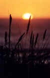 Sunset.jpg (20125 bytes)