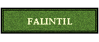FALINTIL