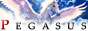 Pegaus Web Design, Graphic Design & Adobe Photoshop Tutorials