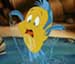 Flounder
