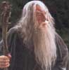 Gandalf standing tall at the council