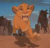 Run Simba, run!