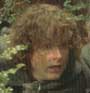 Hiding at Amon Hen