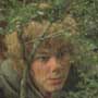 Hiding at Amon Hen