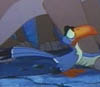 Zazu