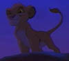 Simba in the morning