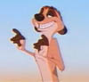 A smirkey Timon