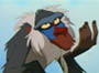 Rafiki
