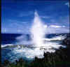 blowhole.jpg (19739 bytes)