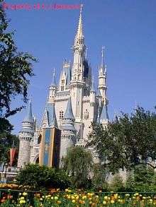 03e Cinderellas CastleWeb.jpg (20467 bytes)