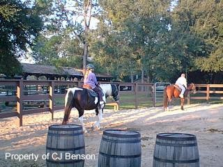 11 Horseback Riding.jpg (28788 bytes)