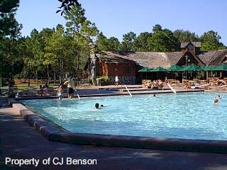 31 Ft Wilderness Pool.jpg (23279 bytes)