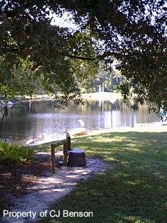 34 Ft Wilderness.jpg (29697 bytes)