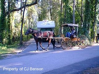 44 Ft Wilderness Ice Cream Man.jpg (29476 bytes)