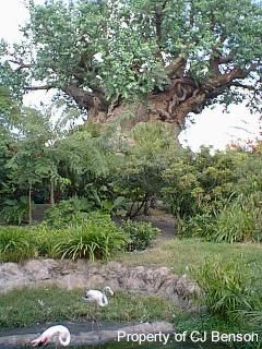 AK 02d Tree of Life.jpg (30406 bytes)