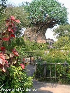 AK 02e Tree of Life.jpg (31058 bytes)
