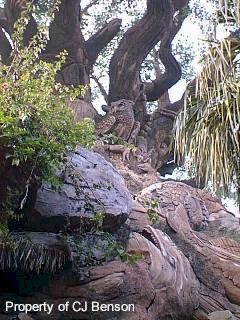 AK 02f Tree of Life.jpg (30136 bytes)