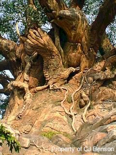 AK 02g Tree of Life.jpg (30968 bytes)