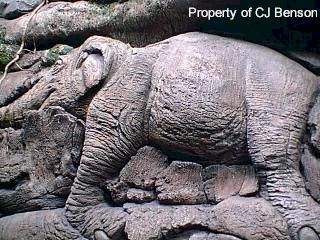 AK 03 Tree of Life.jpg (30645 bytes)