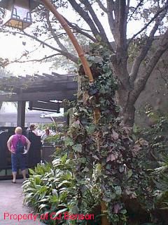 AK DeVine.jpg (27559 bytes)