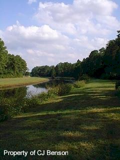 Dog Walk - 1.jpg (16532 bytes)
