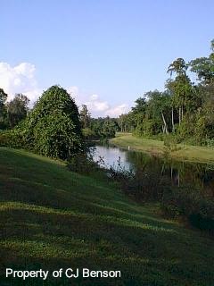 Dog Walk - 2.jpg (16482 bytes)