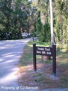 Entrance into Loops.jpg (27434 bytes)