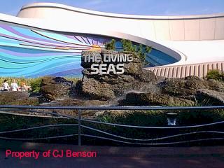 Epcot Living SeasWeb.jpg (21530 bytes)