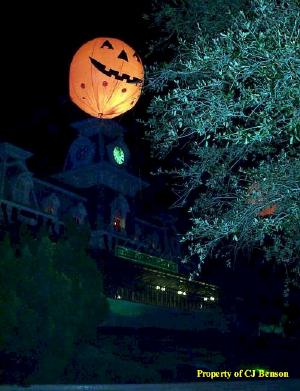 MNSSHP01.JPG (46478 bytes)